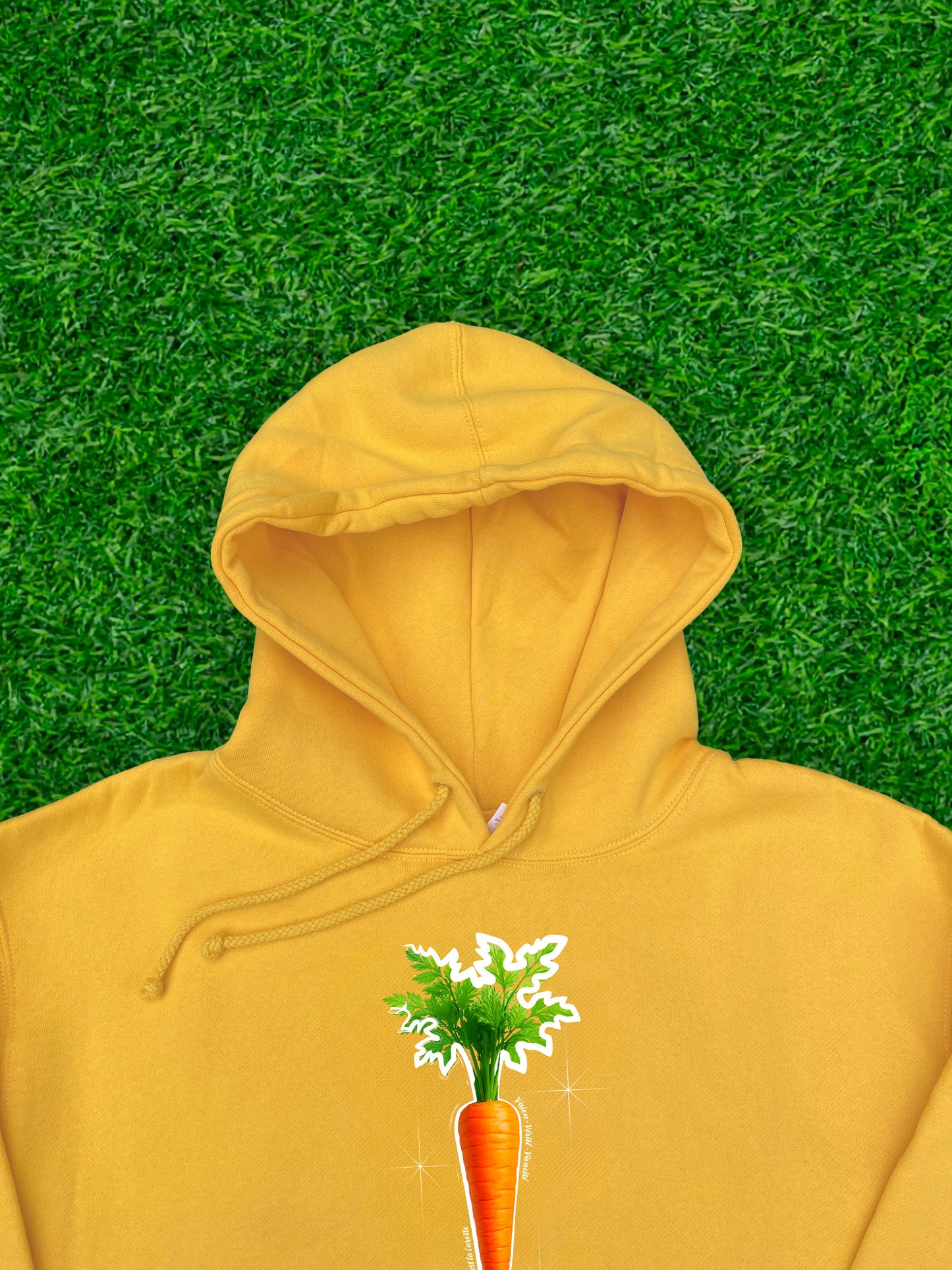 CARROT 🥕
