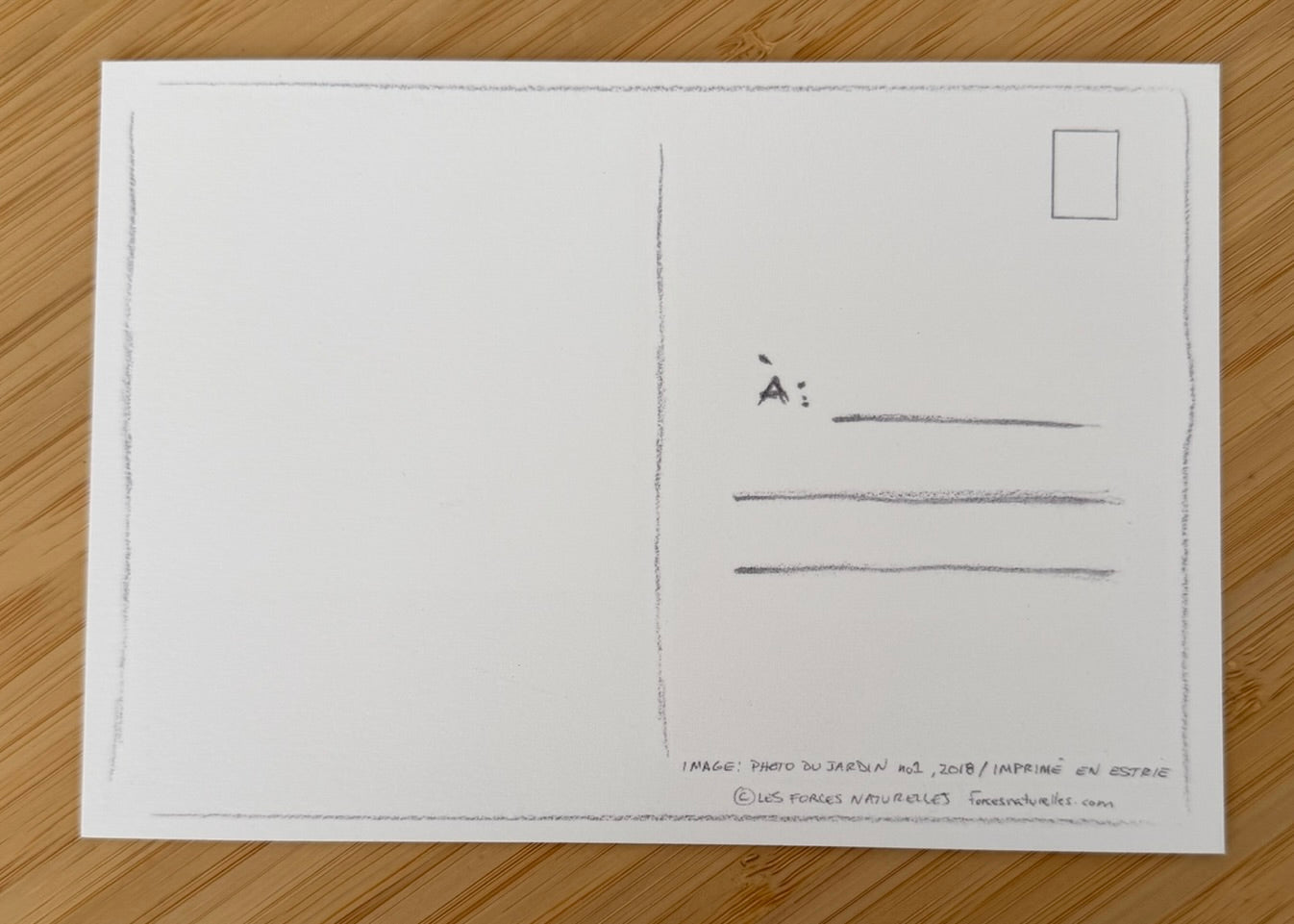 Carte postale Coquelicots jaunes