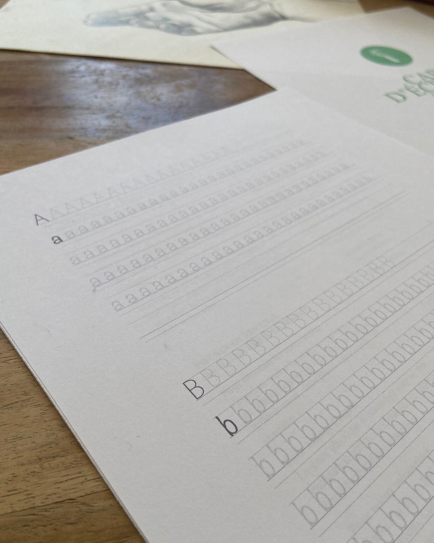 Page du Carnet d'écriture à la main — Force naturelle du Céleri, version PDF à télécharger, page des A et B lettres détachées