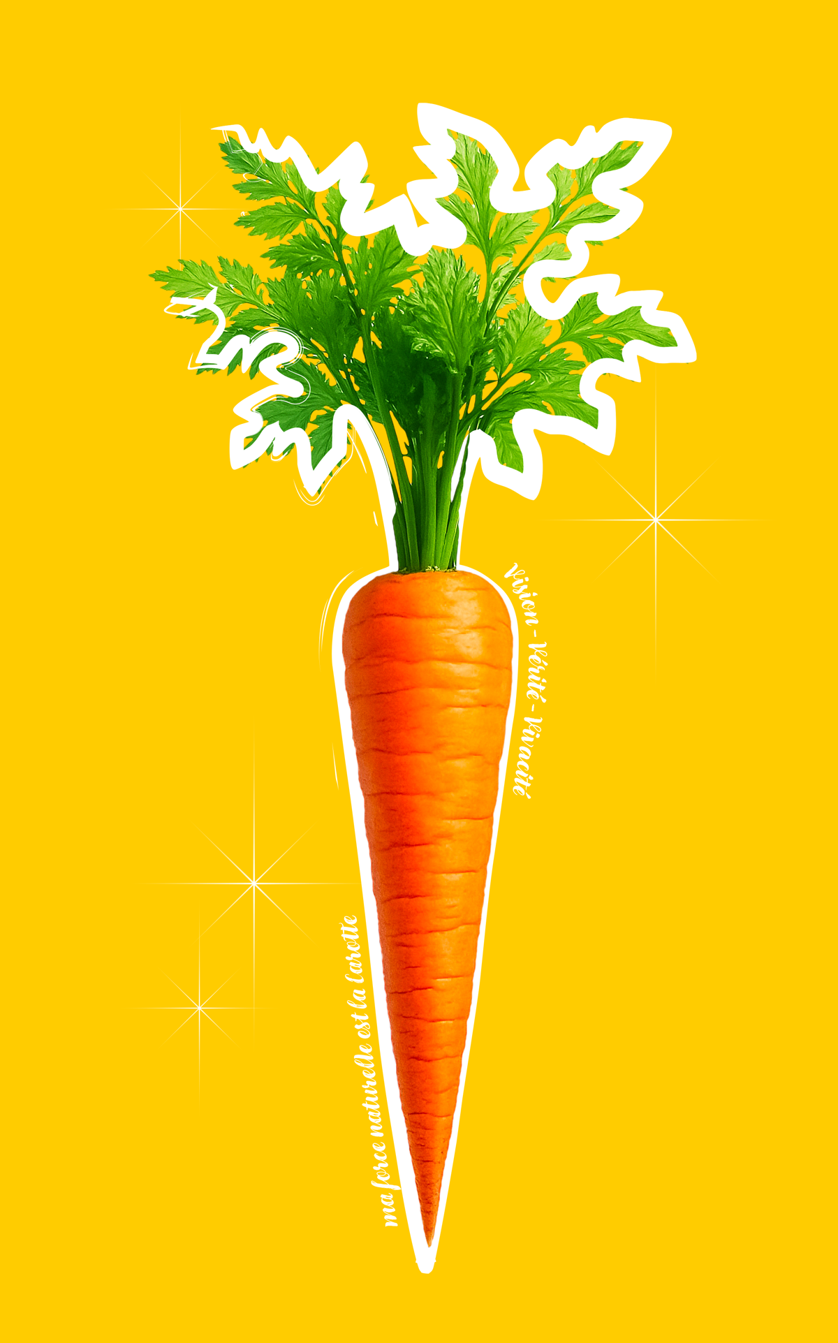 CARROT 🥕