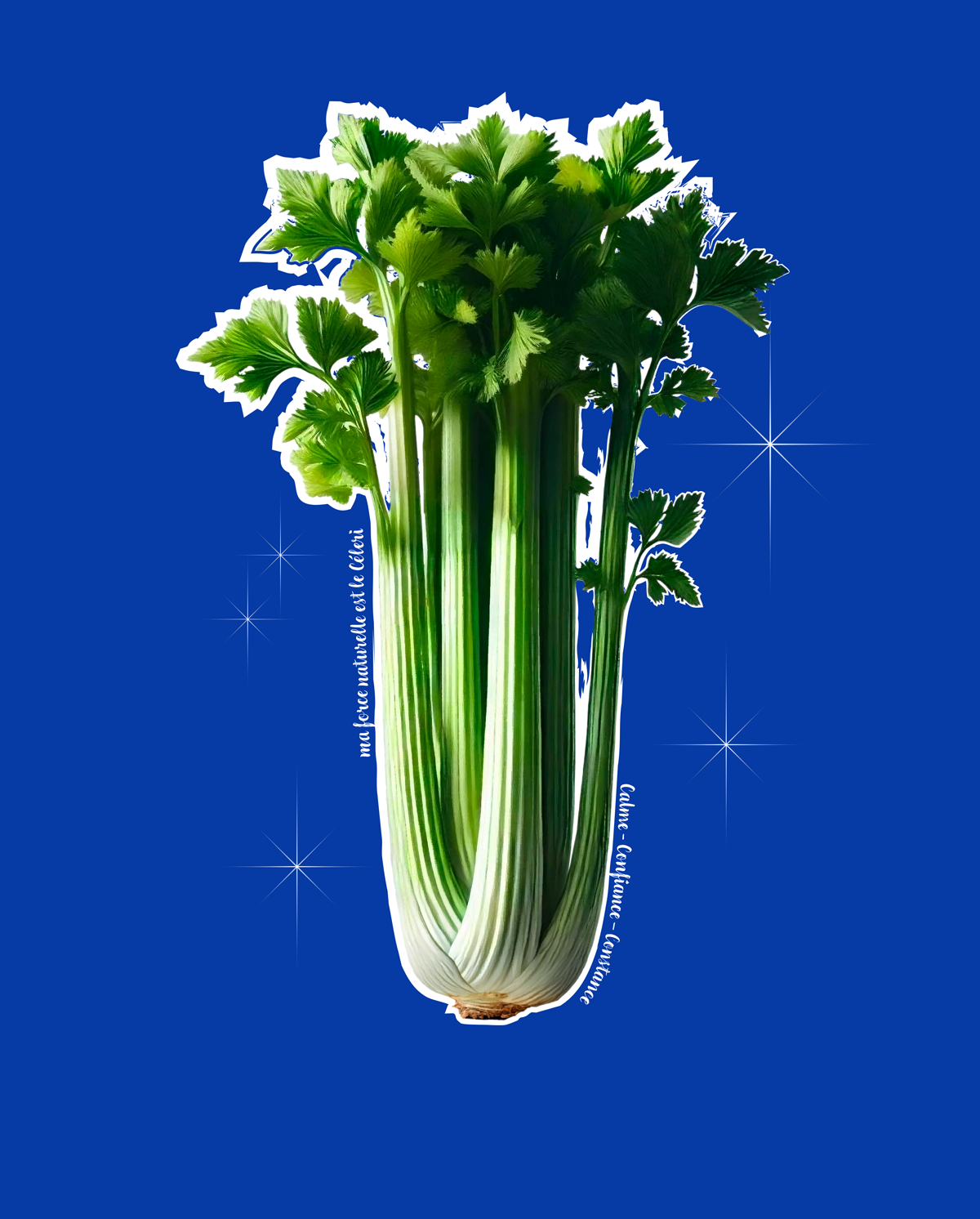 La Force Naturelle du Céleri 🌿