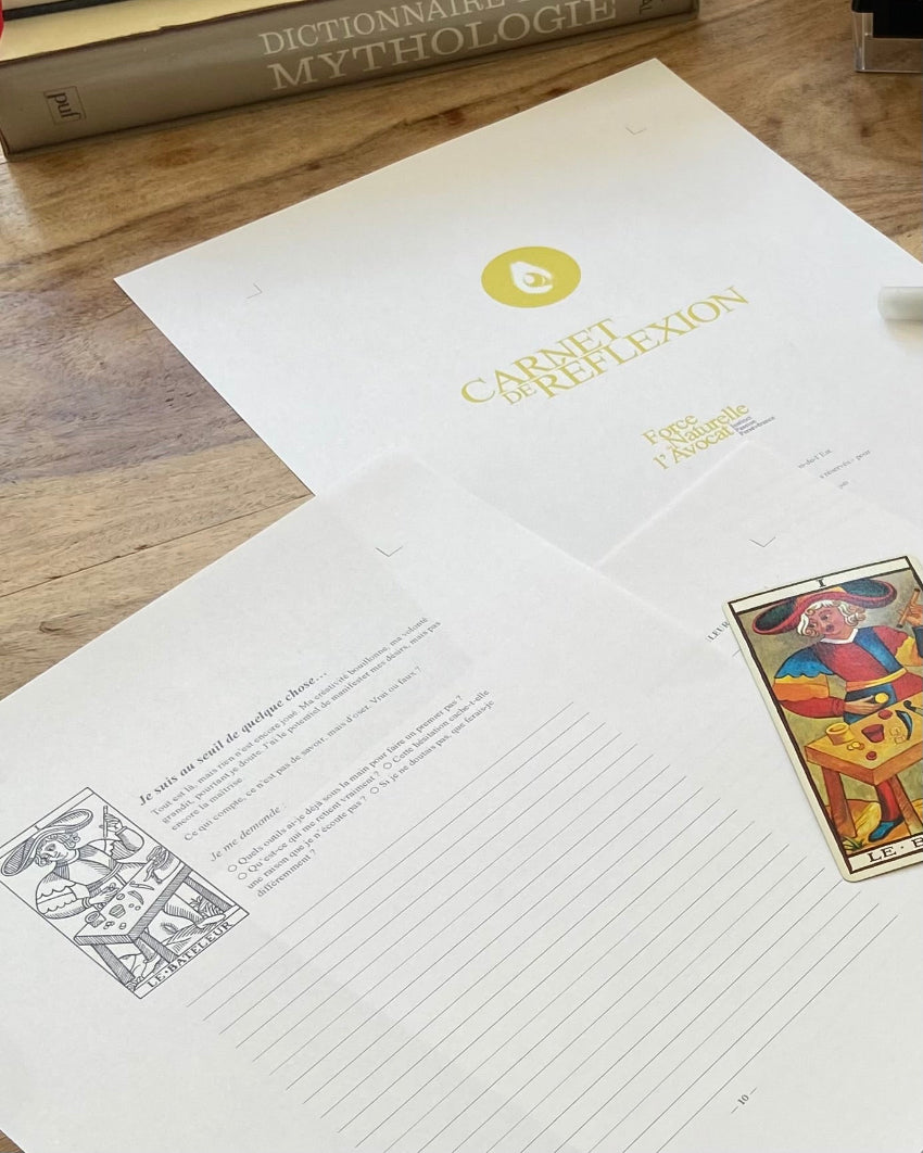 Carnet de réflexion — Force naturelle de l’Avocat, version PDF à télécharger, page Le Bateleur