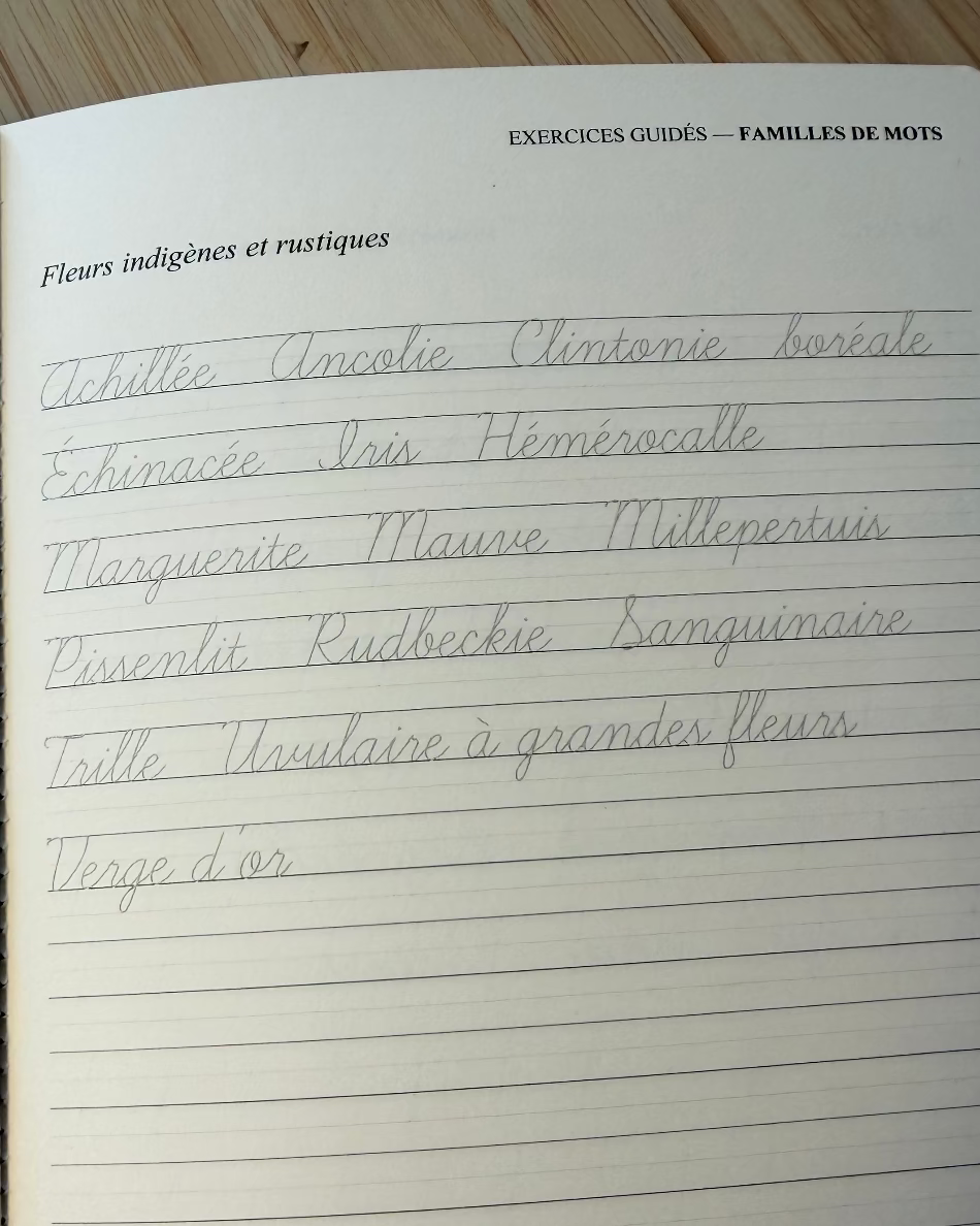 Carnet d’écriture à la main — Force naturelle du céleri, journaling guidé, fleurs