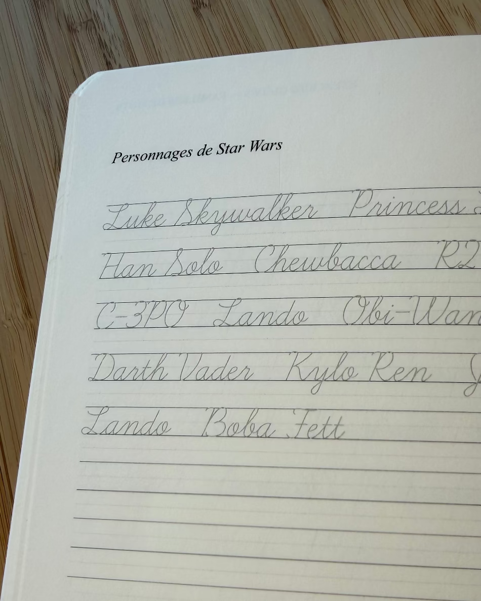 Carnet d’écriture à la main — Force naturelle du céleri, journaling guidé, personnages de Star Wars