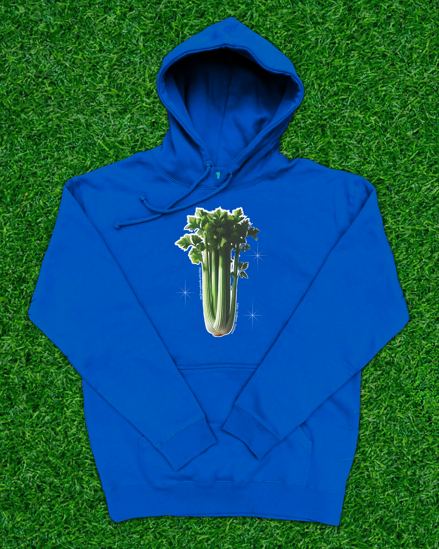Hoodie de qualité supérieure « Les forces naturelles » — couleur bleu — étampe Céleri 