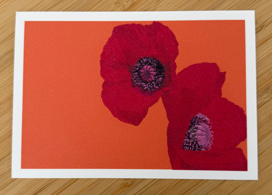 Carte postale Coquelicots