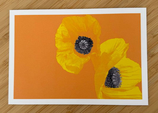 Carte postale Coquelicots jaunes