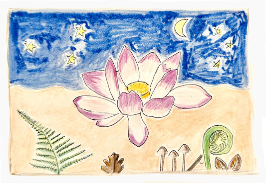 Carte postale Fleur de lotus
