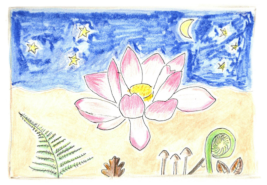 Carte postale Fleur de lotus